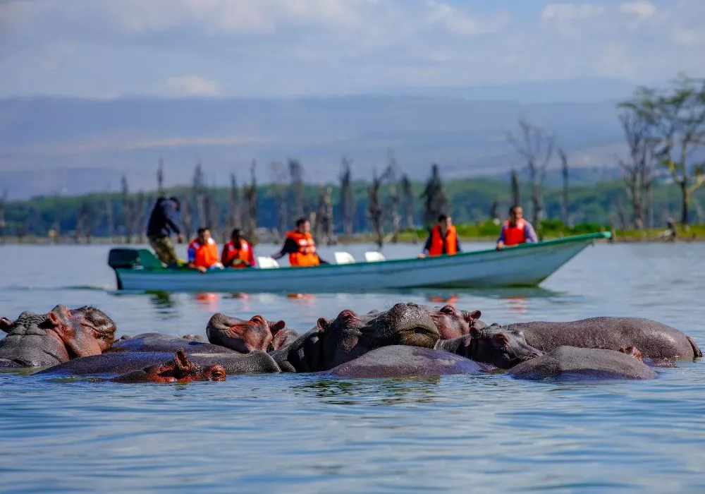 The Valley Unfolds; Lakes, Landscapes & Wildlife of the Great Rift Valley (2 Day Excursion) (Group Safari (6-8) guests)
