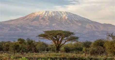 In the Shadow of Mount Kilimanjaro (2 Day Excursion) (Group Safari (3-6) Guests)